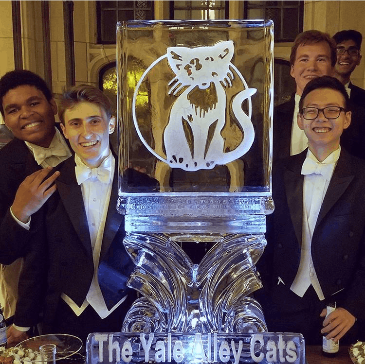 Custom ice sculpture featuring a detailed cat engraving displayed at an event