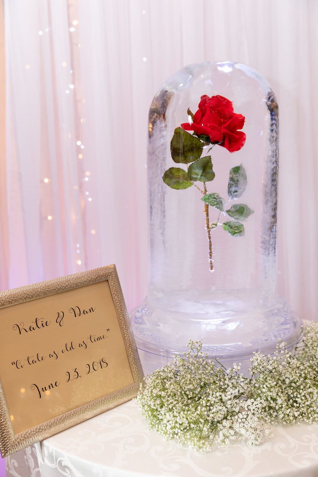 Single red rose encased in clear ice