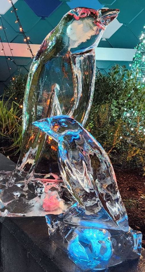 Dolphin ice sculpture