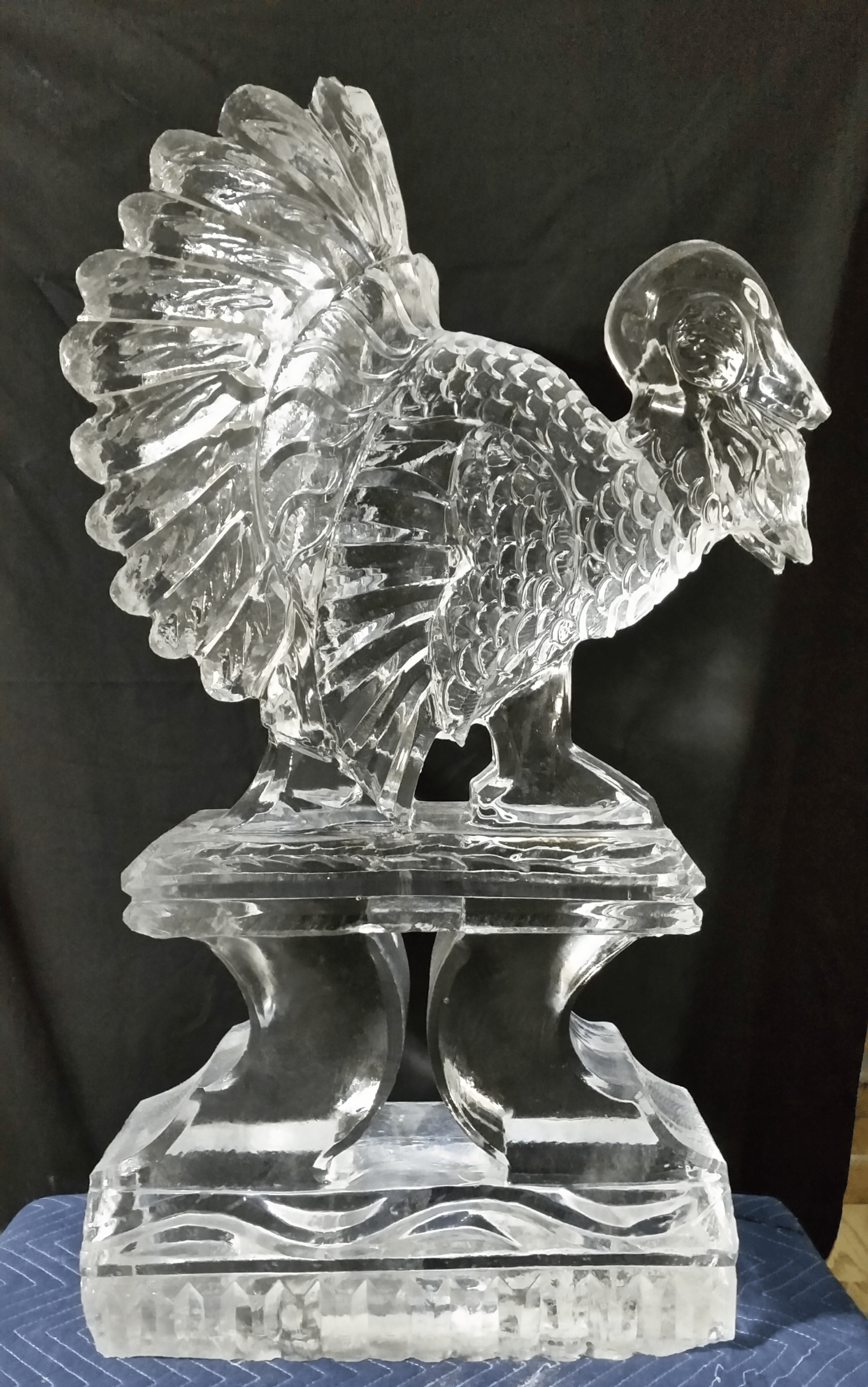 Detailed custom clear ice sculpture of a turkey for a Thanksgiving event