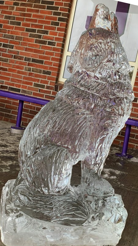 Owl ice sculpture