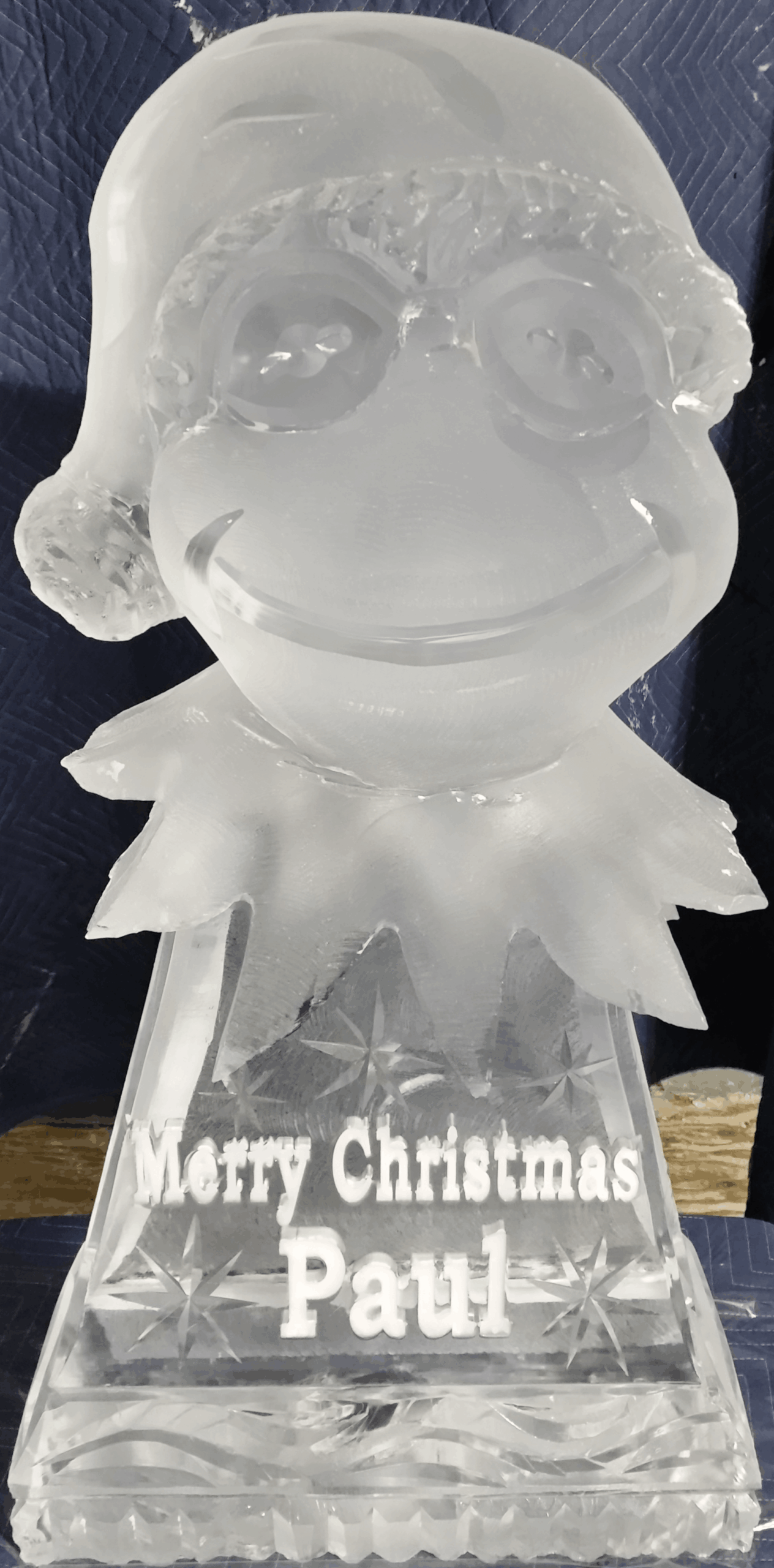 Ice Matters - Kermit the Frog with Santa Hat