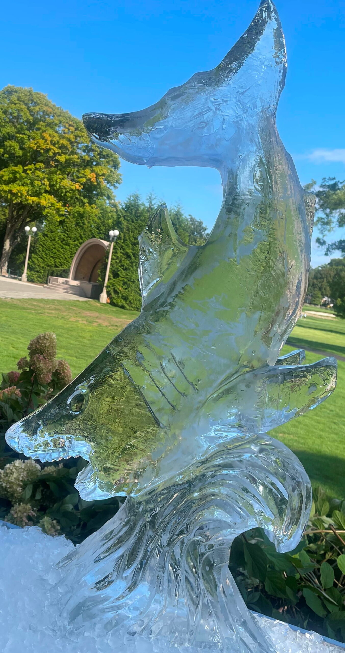 Dolphin ice sculpture