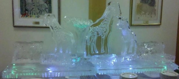 Horse ice sculpture with foal