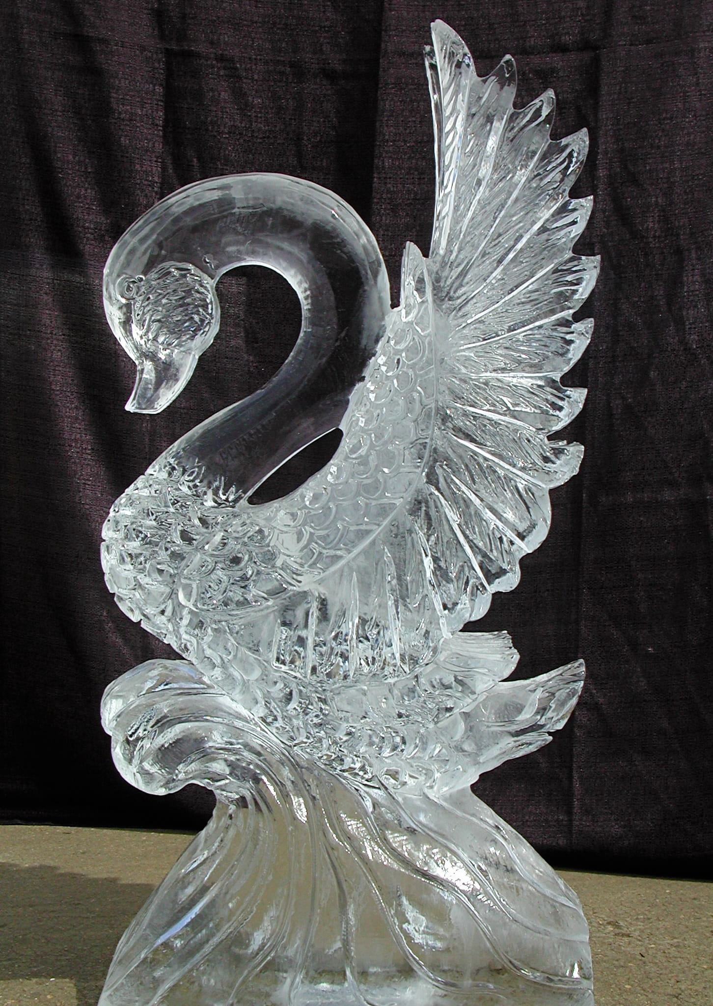 Detailed clear ice sculpture of an elegant swan with spread wings