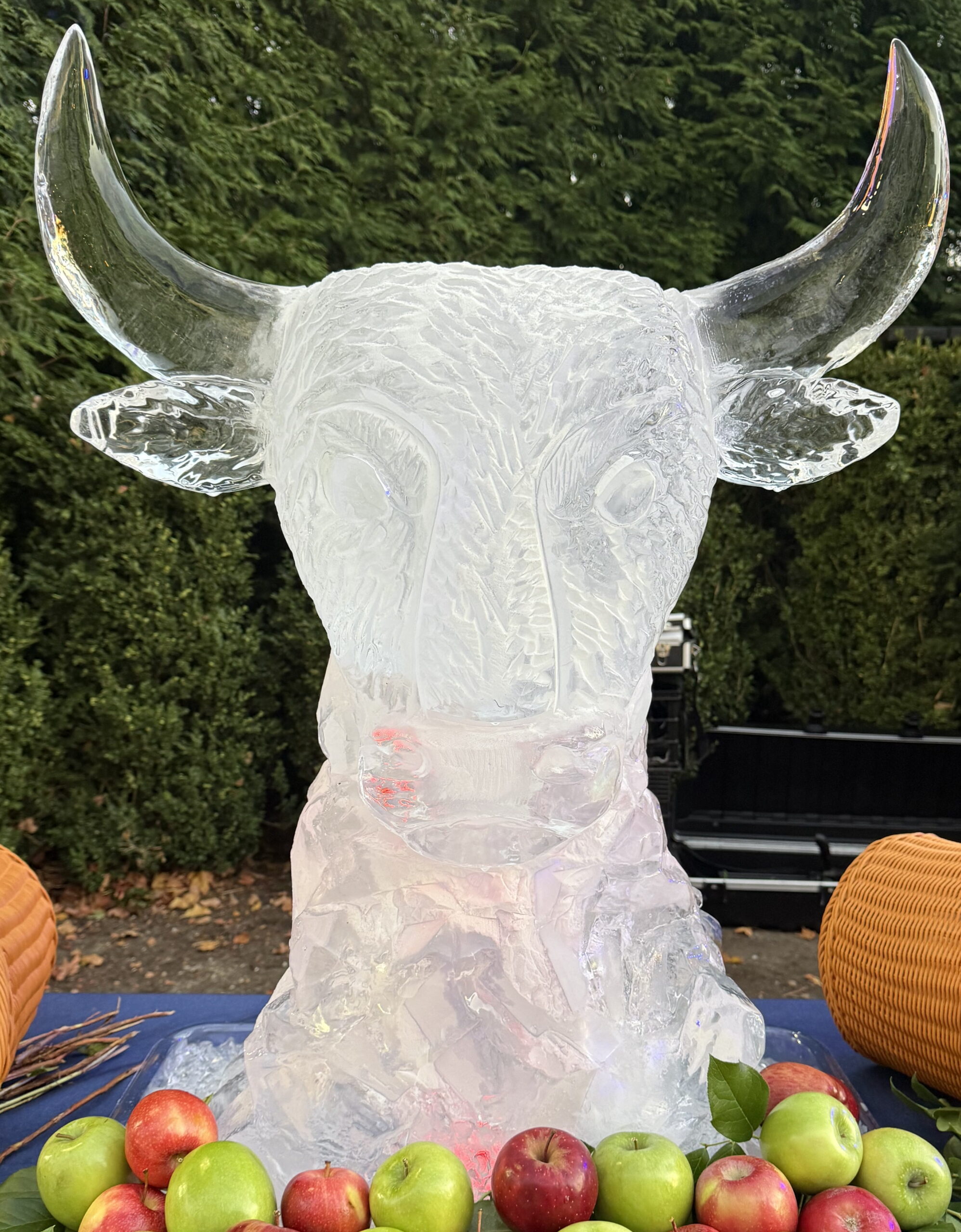 Buffalo head ice sculpture