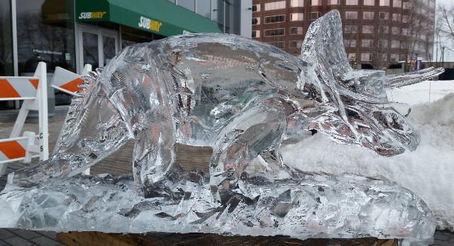 Dolphin ice sculpture