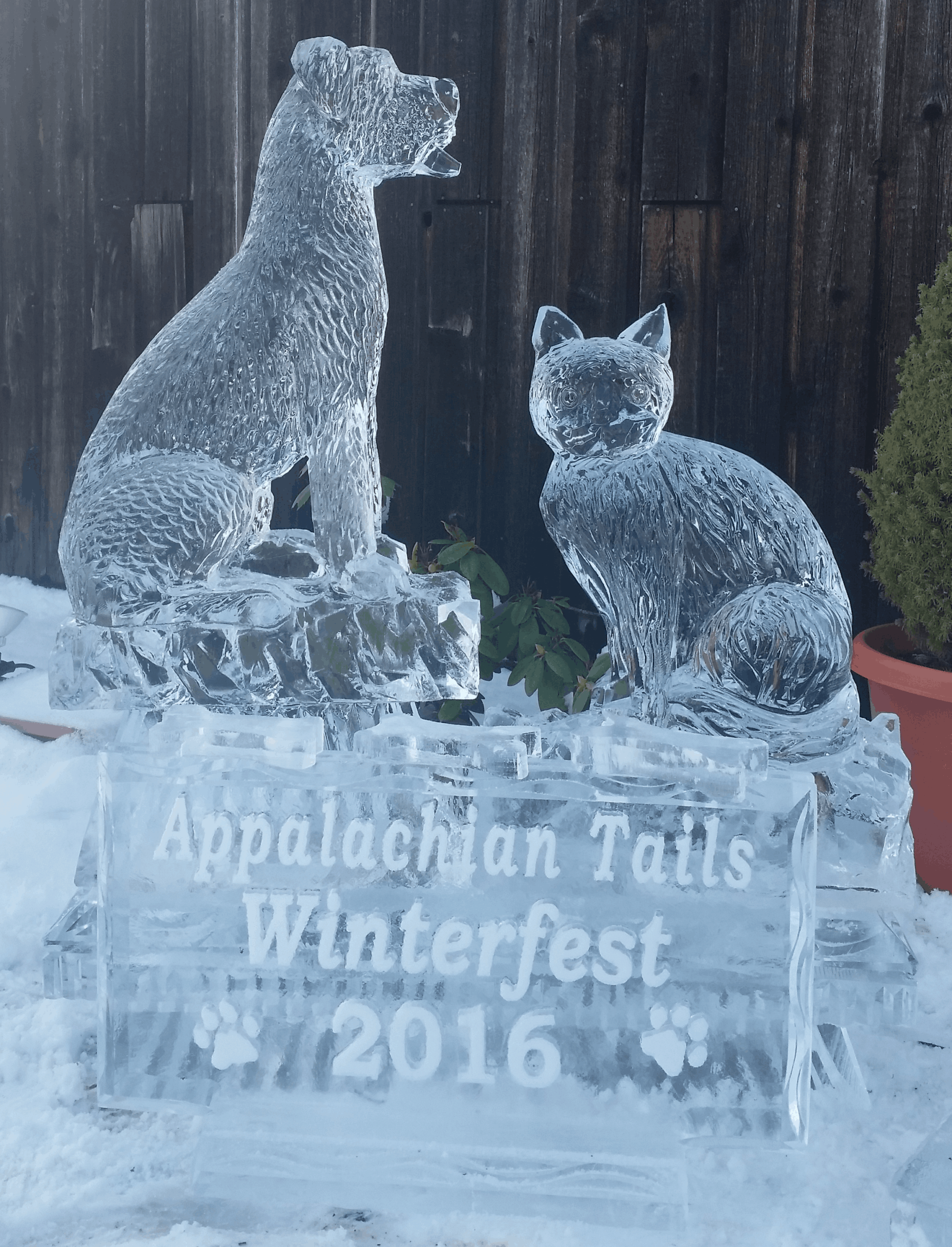 Appalachian Trails cat ice sculpture