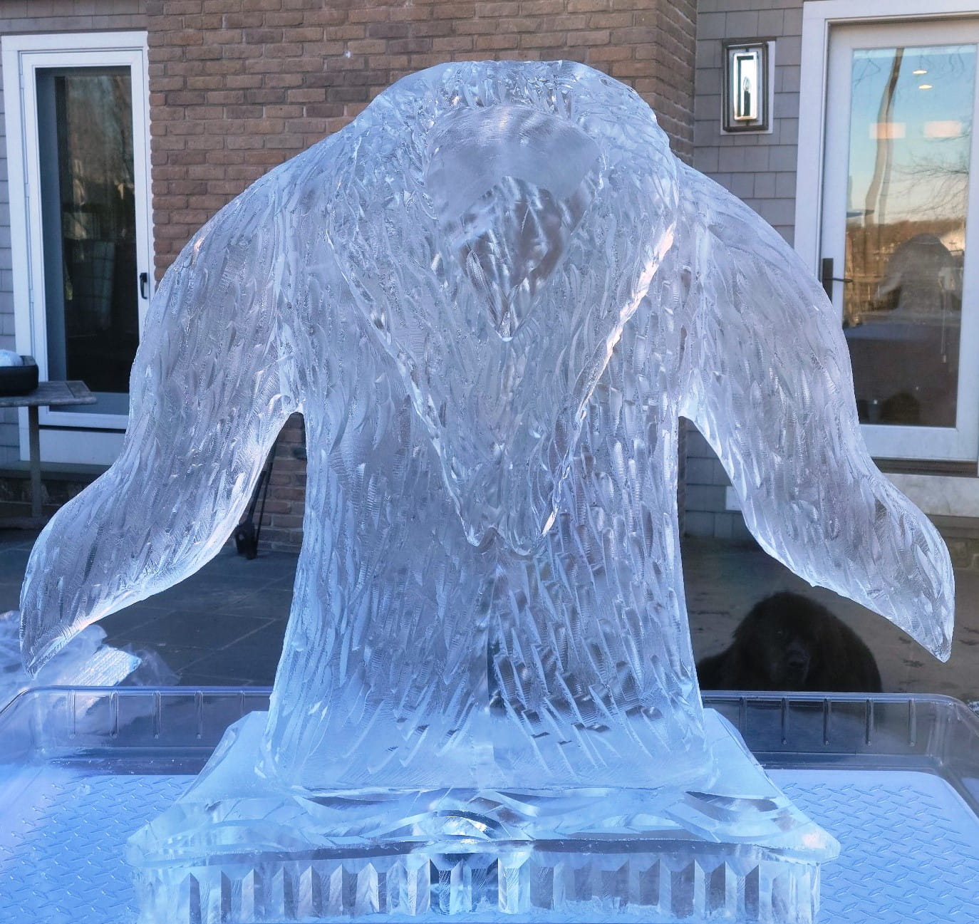 Ice Matters Fur Coat Shot Slide