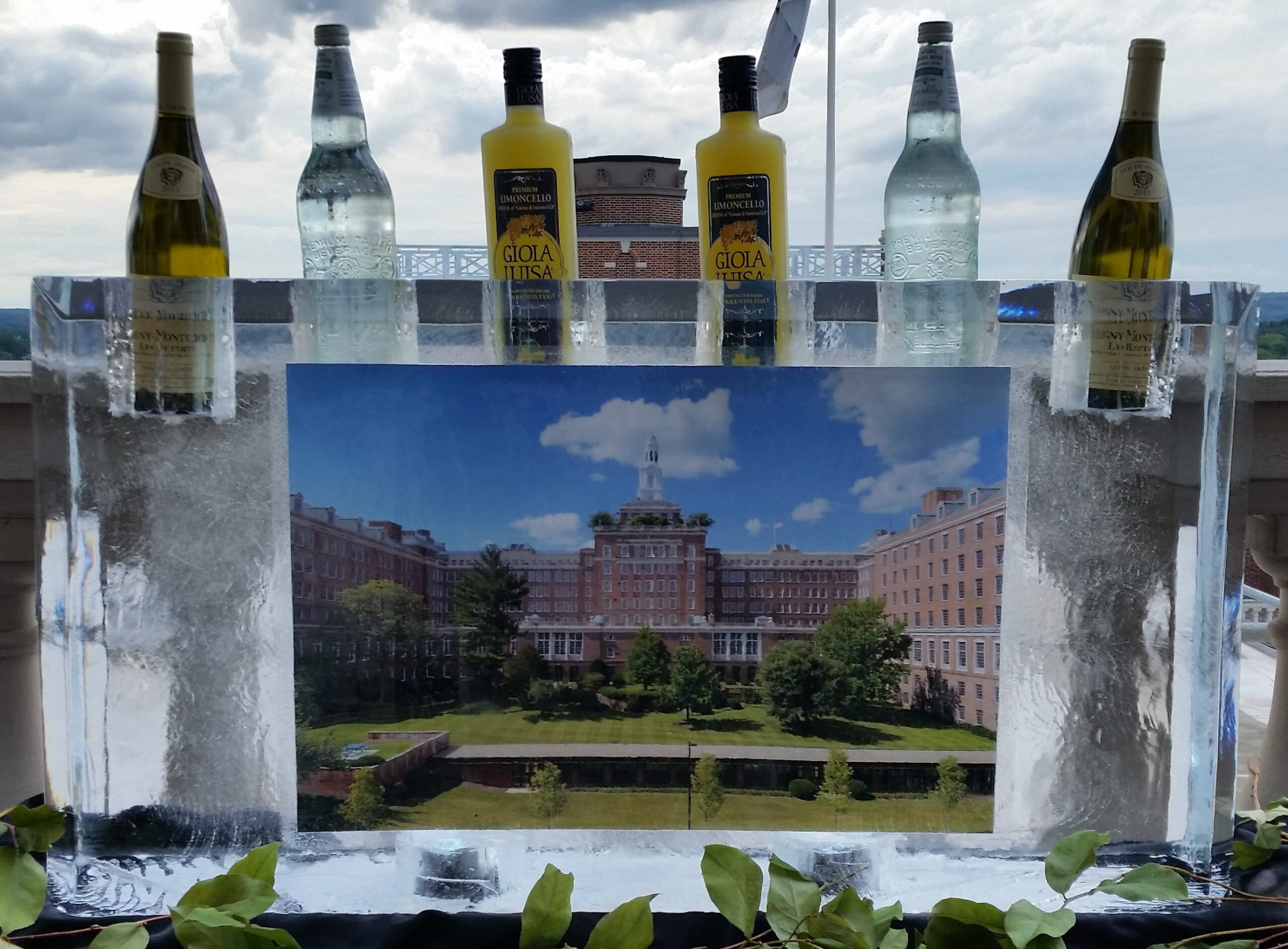 Ice bottle display with custom logo