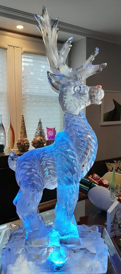 Reindeer
